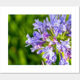 Bright Purple Flower Posters and Art